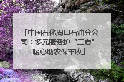 中国石化周口石油分公司：多元服务护“三夏” 暖心助农保丰收