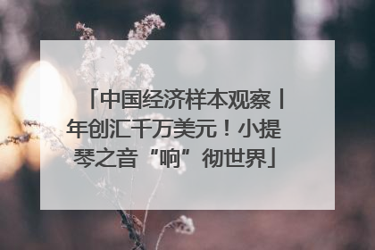 中国经济样本观察丨年创汇千万美元！小提琴之音“响”彻世界