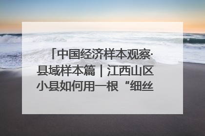 中国经济样本观察·县域样本篇｜江西山区小县如何用一根“细丝”拉出百亿级产业？