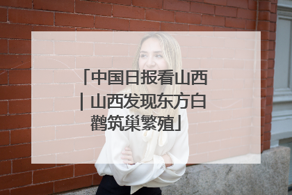中国日报看山西｜山西发现东方白鹳筑巢繁殖