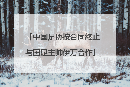中国足协按合同终止与国足主帅伊万合作