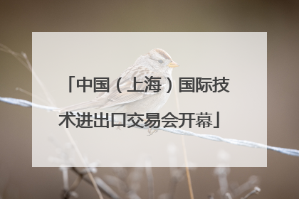 中国（上海）国际技术进出口交易会开幕
