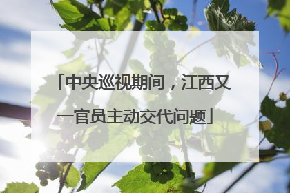 中央巡视期间，江西又一官员主动交代问题