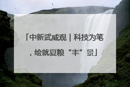 中新武威观｜科技为笔，绘就夏粮“丰”景