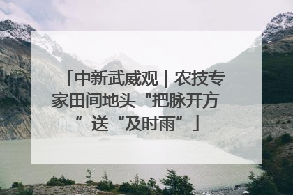 中新武威观｜农技专家田间地头“把脉开方”送“及时雨”