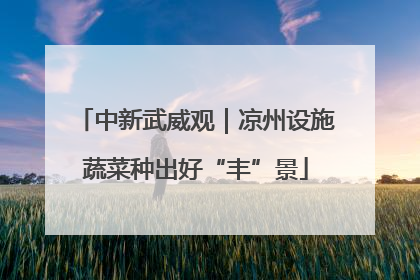 中新武威观｜凉州设施蔬菜种出好“丰”景