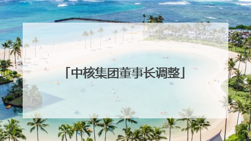 中核集团董事长调整