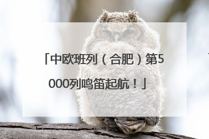 中欧班列（合肥）第5000列鸣笛起航！