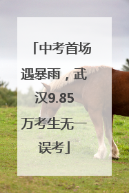 中考首场遇暴雨，武汉9.85万考生无一误考