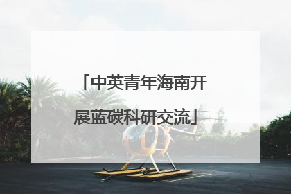 中英青年海南开展蓝碳科研交流