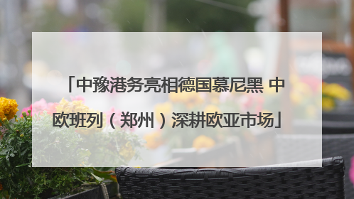 中豫港务亮相德国慕尼黑 中欧班列（郑州）深耕欧亚市场