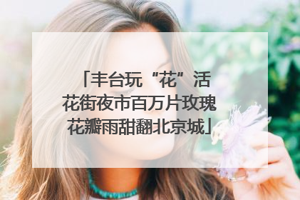 丰台玩“花”活 花街夜市百万片玫瑰花瓣雨甜翻北京城