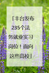 丰台发布235个法务就业实习岗位！面向这些高校