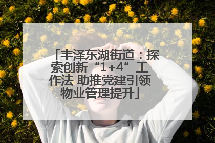 丰泽东湖街道：探索创新“1+4”工作法 助推党建引领物业管理提升