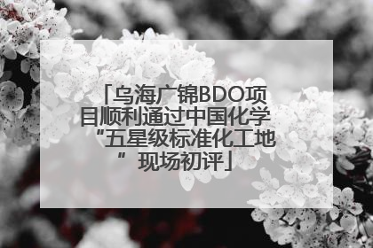 乌海广锦BDO项目顺利通过中国化学“五星级标准化工地”现场初评