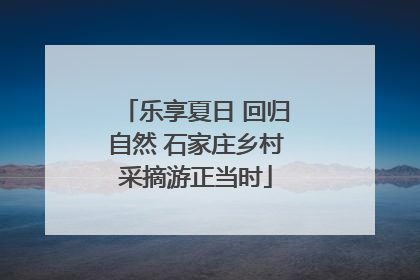 乐享夏日 回归自然 石家庄乡村采摘游正当时