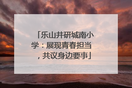 乐山井研城南小学：展现青春担当，共议身边要事