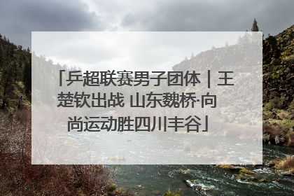 乒超联赛男子团体｜王楚钦出战 山东魏桥·向尚运动胜四川丰谷