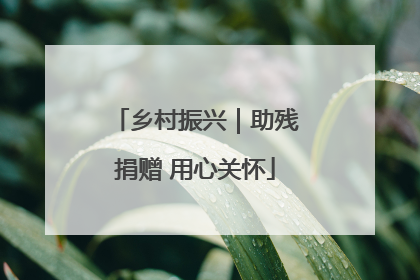 乡村振兴｜助残捐赠 用心关怀