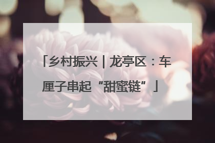 乡村振兴｜龙亭区：车厘子串起“甜蜜链”