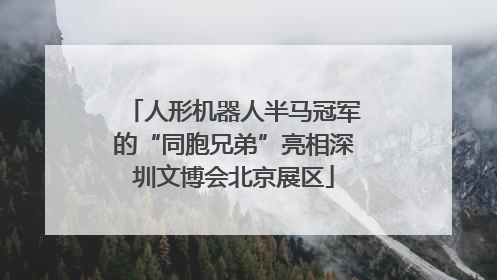 人形机器人半马冠军的“同胞兄弟”亮相深圳文博会北京展区