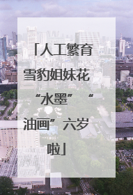 人工繁育雪豹姐妹花“水墨”“油画”六岁啦