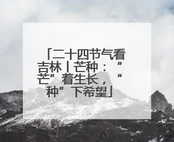 二十四节气看吉林丨芒种：“芒”着生长，“种”下希望