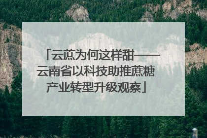 云蔗为何这样甜——云南省以科技助推蔗糖产业转型升级观察