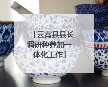 云霄县县长调研种养加一体化工作