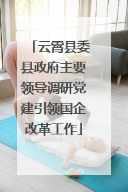 云霄县委县政府主要领导调研党建引领国企改革工作
