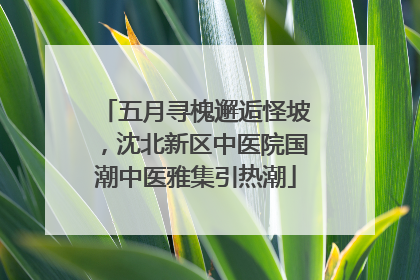 五月寻槐邂逅怪坡，沈北新区中医院国潮中医雅集引热潮