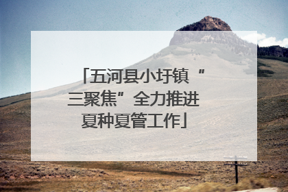 五河县小圩镇“三聚焦”全力推进夏种夏管工作
