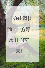 亦庄调节池：一方好水引“客”来
