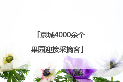 京城4000余个果园迎接采摘客