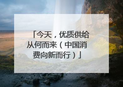 今天，优质供给从何而来（中国消费向新而行）