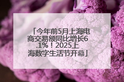 今年前5月上海电商交易额同比增长6.1%！2025上海数字生活节开幕
