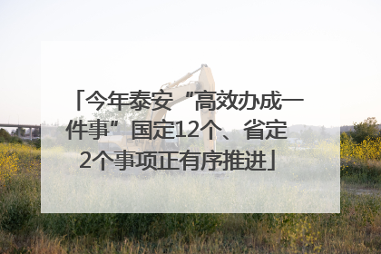 今年泰安“高效办成一件事”国定12个、省定2个事项正有序推进