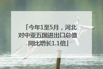 今年1至5月，河北对中亚五国进出口总值同比增长1.1倍