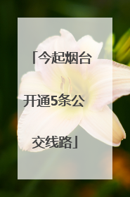 今起烟台开通5条公交线路