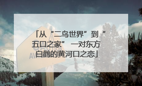 从“二鸟世界”到“五口之家” 一对东方白鹳的黄河口之恋