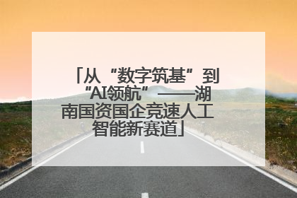 从“数字筑基”到“AI领航”——湖南国资国企竞速人工智能新赛道