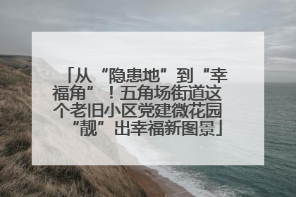 从“隐患地”到“幸福角”！五角场街道这个老旧小区党建微花园“靓”出幸福新图景