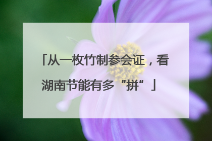 从一枚竹制参会证，看湖南节能有多“拼”