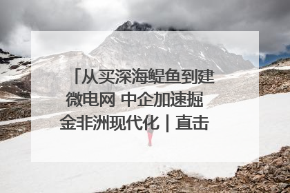 从买深海鳀鱼到建微电网 中企加速掘金非洲现代化｜直击中非经贸博览会