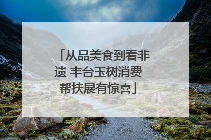 从品美食到看非遗 丰台玉树消费帮扶展有惊喜