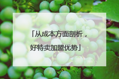 从成本方面剖析，好特卖加盟优势