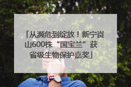 从濒危到绽放！新宁崀山600株“国宝兰”获省级生物保护嘉奖