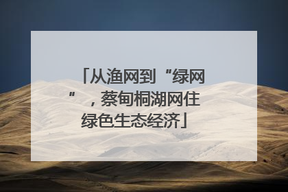 从渔网到“绿网”，蔡甸桐湖网住绿色生态经济