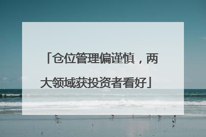 仓位管理偏谨慎，两大领域获投资者看好