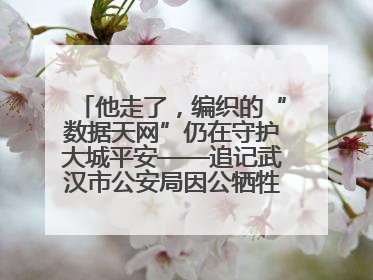 他走了，编织的“数据天网”仍在守护大城平安——追记武汉市公安局因公牺牲民警万松